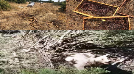 13 kovanı parçaladılar