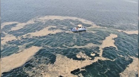 38 günde 100 ton deniz salyası toplandı