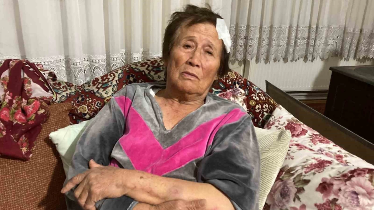 66 yaşındaki kadını sopa ve bisiklet ile acımasızca darp etti