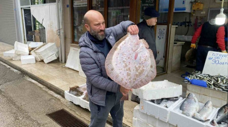 8 kiloluk kalkan balığı 5 bin liraya satıldı