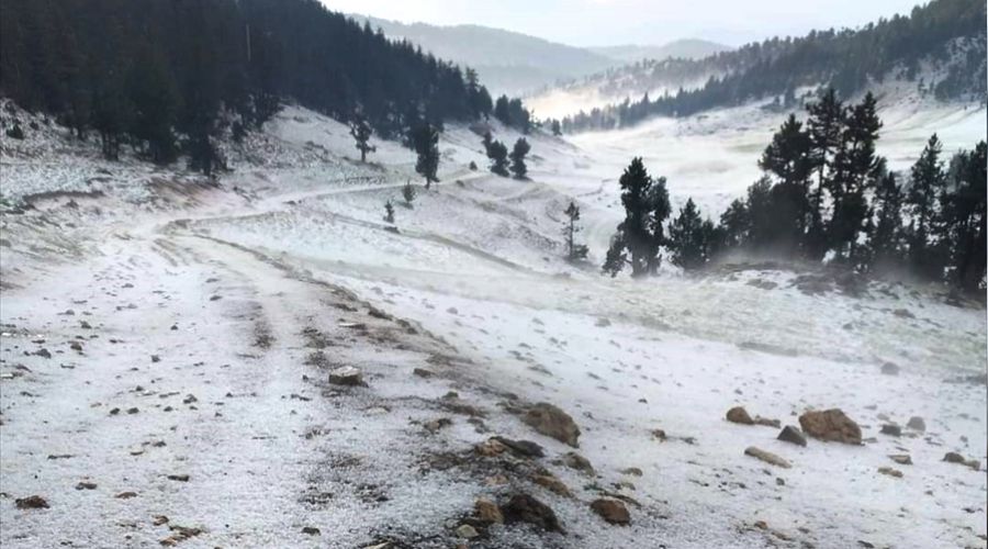 Adana'da ceviz b�y�kl���nde dolu ya�d�