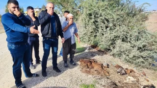 Adana'da dere yatana yine at ve eek kalntlar atld