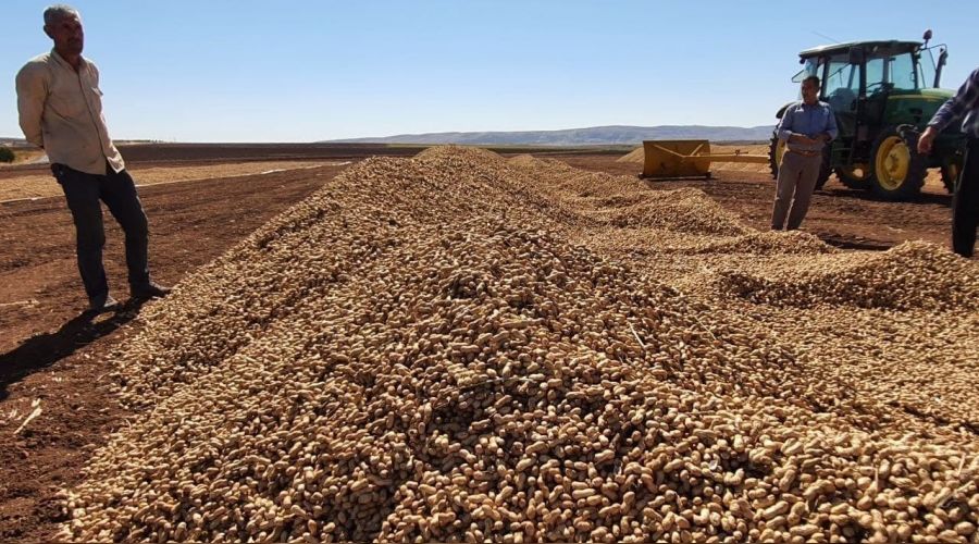 Ad�yaman �ift�isi ilk kez yer f�st���n� deniyor