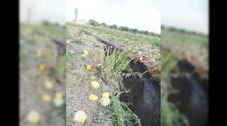 Afyon'da tarlada korkutan çatlak