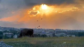 Ağrı'da gün batımı kartpostallık görüntüler sunuyor