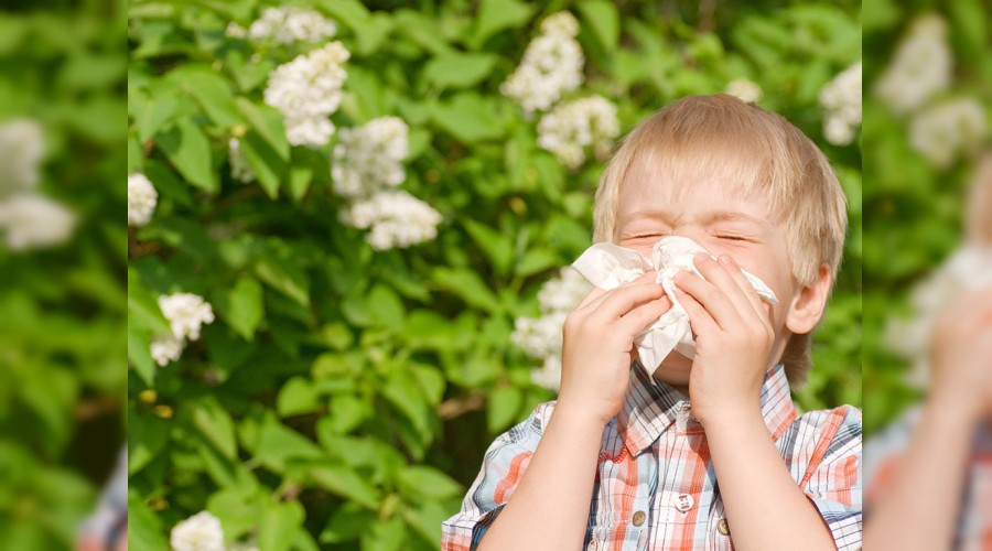 Alerjiyi so�uk alg�nl��� ile kar��t�rmay�n 