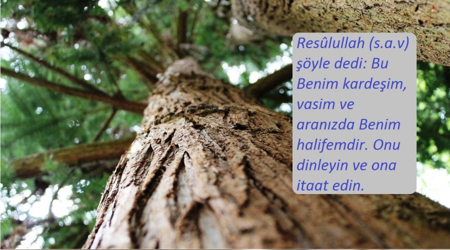 �Ali�yi dinleyin ve ona itaat edin�