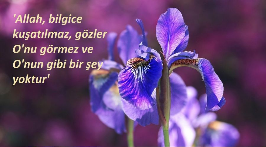 Allah, bilgice asla kuşatılamaz