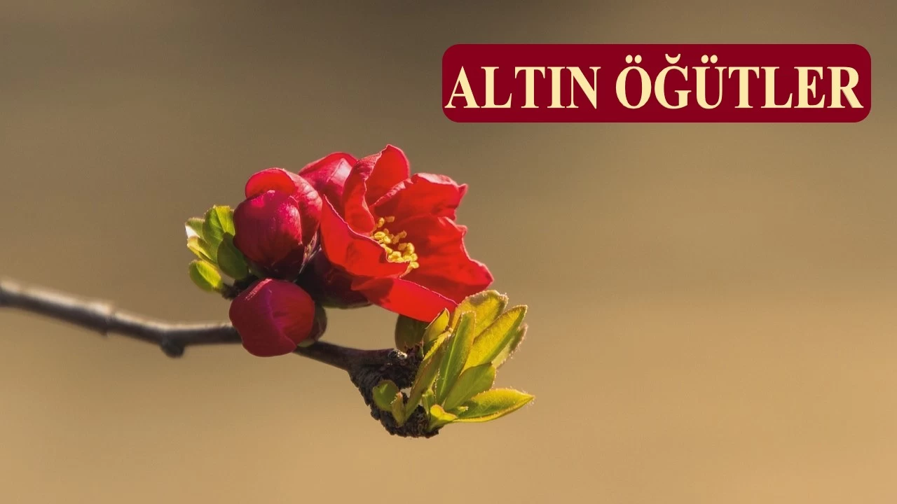 ‘Allah seninle iftihar ediyor’