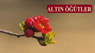‘Allah seninle iftihar ediyor’
