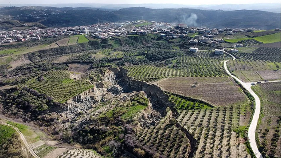 Alt�n�z��nde Tar�m: Zeytinin ba�kentinde �retim m�cadelesi 