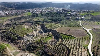 Altınözü’nde Tarım: Zeytinin başkentinde üretim mücadelesi