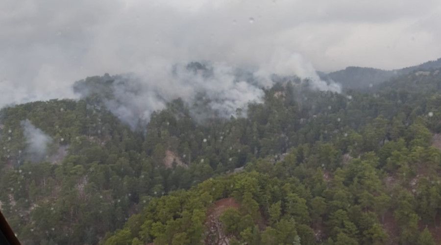 Antalya'da den yldrm, 4 hektarlk orman yakt
