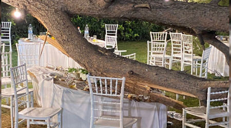 Antalya'da kır düğününde ağaç devrildi
