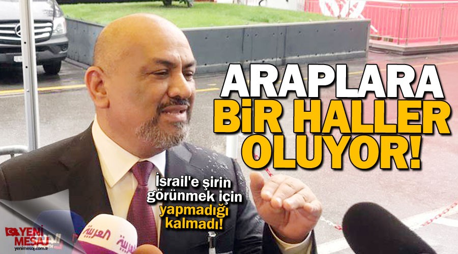 Araplara bir haller oluyor!