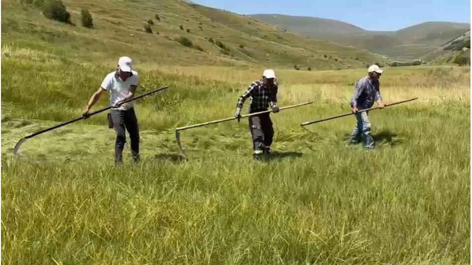 Ardahan'da sa�anak ya���lar tar�msal �al��malar� vurdu