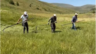 Ardahan'da sağanak yağışlar tarımsal çalışmaları vurdu