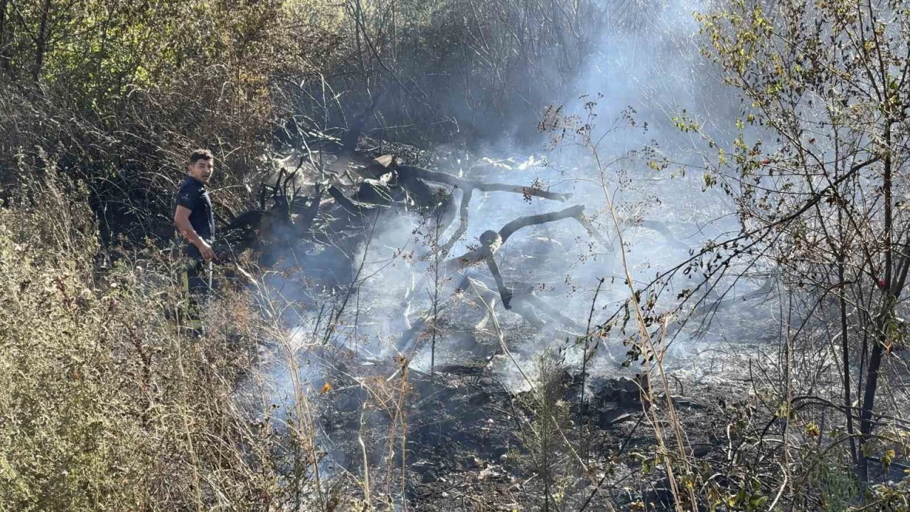 Arnavutk�y'de bir �ah�s yang�n ��kar�p itfaiyecilere sald�rd�