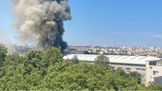 Arnavutk�y'de s�nger fabrikas�nda yang�n