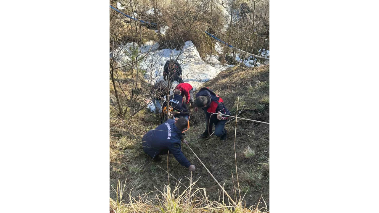 Artvin'de dereye d��en vatanda� kurtar�ld�