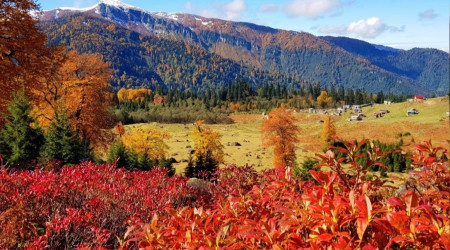Artvin'den sonbahar manzaraları