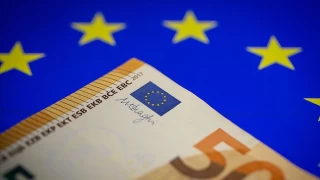Avro para birimi 25 yanda