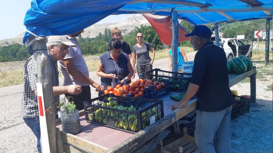 Ayaş'ın meşhur domatesi pazarlarda yerini alacak