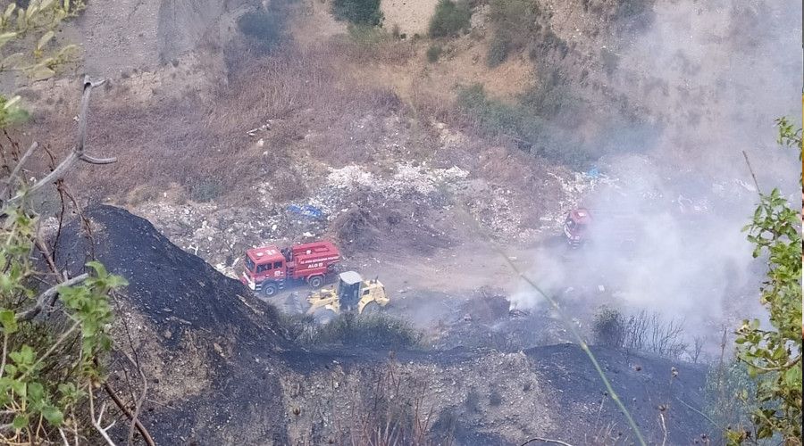 Aydın'da arazi yangını kontrol altına alındı