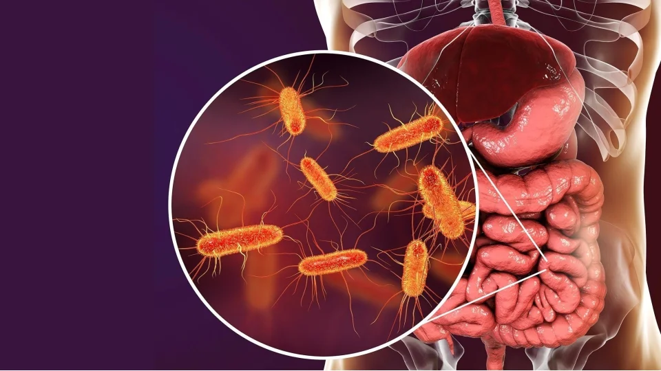 Bağırsaklardaki parazitleri temizleyen şifalı bitkiler