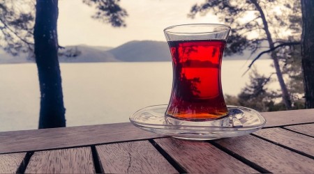 Bakan mı Bakanlık mı, yalan söyleyen kim?