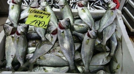Balık fiyatları el yakıyor