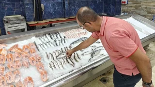 Balklar yeni sezona hazr