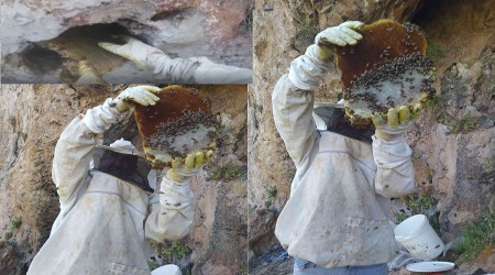 Balını 'taştan' çıkarıyor