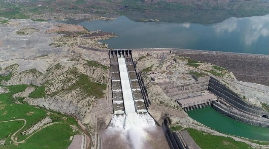 Baraj suyu çekildi, binlerce balık telef oldu