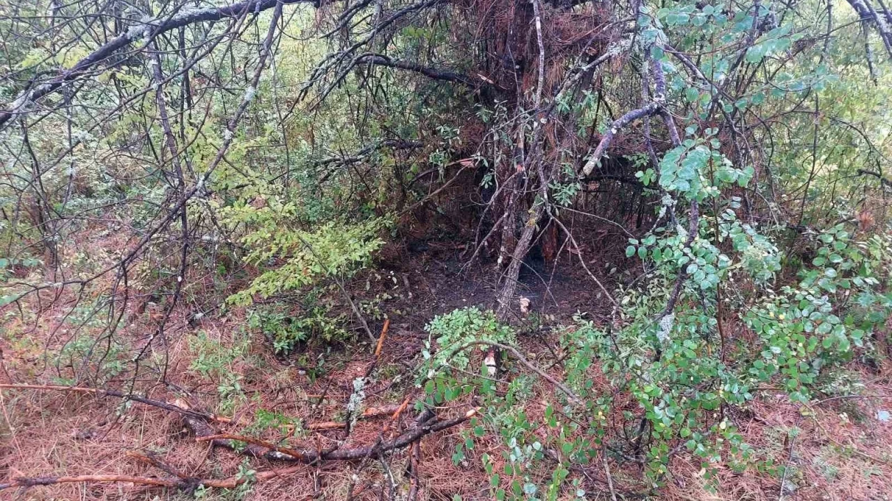 Bart�n'da 1 saatte 4 a�aca y�ld�r�m d��t�