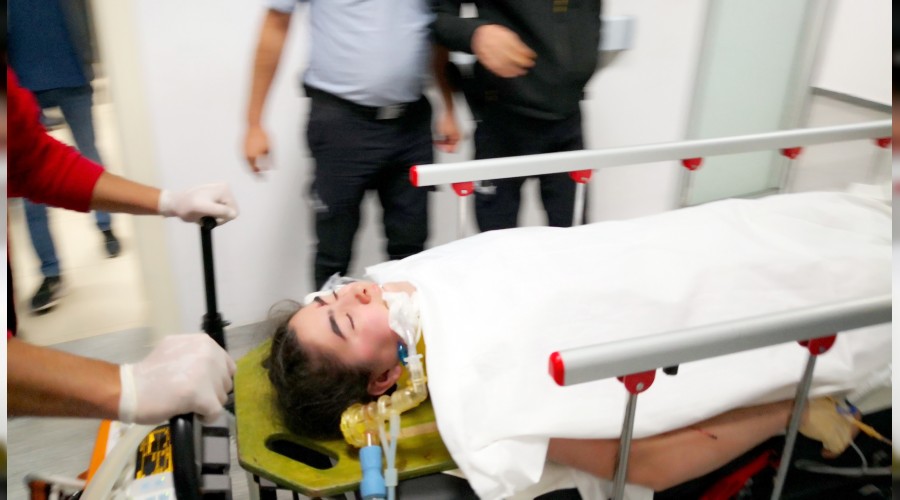 Ba��bo� k�pek �l�me neden oldu