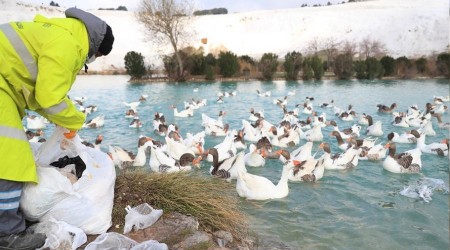 Bayat ekmekler çöp olmuyor
