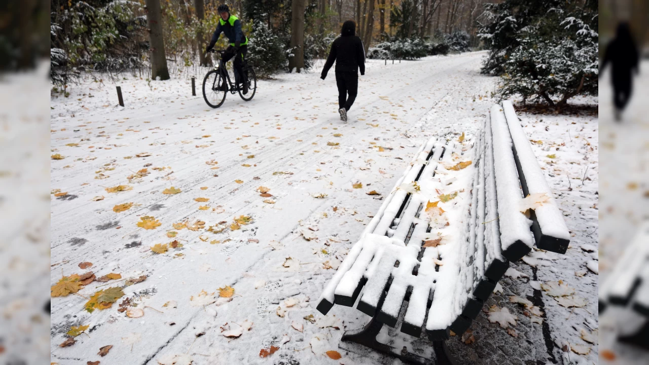 Berlin'de kar yağışı