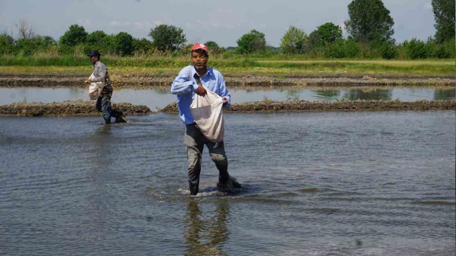 'Beyaz alt�n' mesaisi ba�lad�