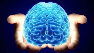 Beyin Sağlığı İçin Bunları Yapın: Kitap, Yürüyüş ve Doğru Beslenme