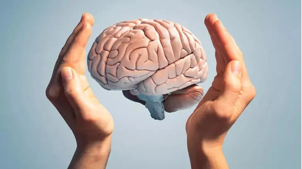 Beyin Sa�l��� ��in Bunlar� Yap�n: Kitap, Y�r�y�� ve Do�ru Beslenme