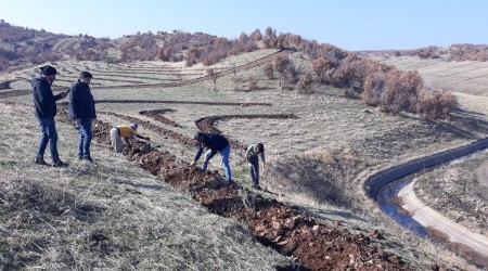 Bingöl'de 210 dönümlük alana bal ormanı kuruldu