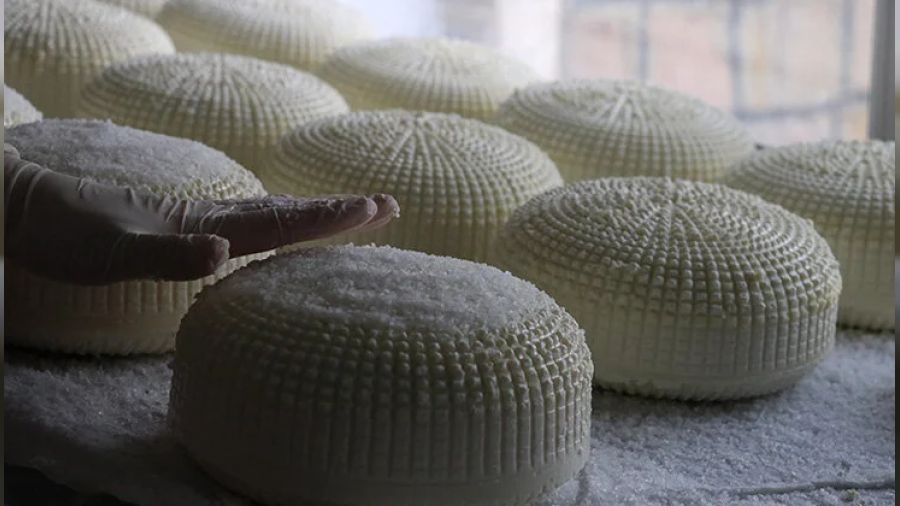  Bir kilo erkez peyniri 14 kilo stten retiliyor!