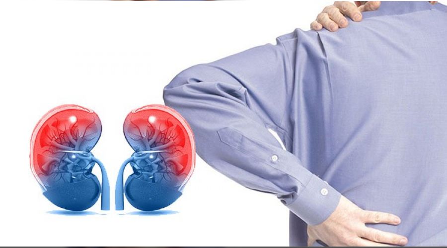 B�brek hastal�klar� patlad�