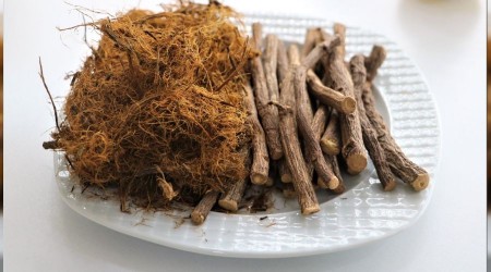 Bu bitki susuzluu nlyor, bakl glendiriyor