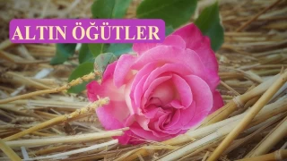 Bu hasletleri sakın kaybetmeyin
