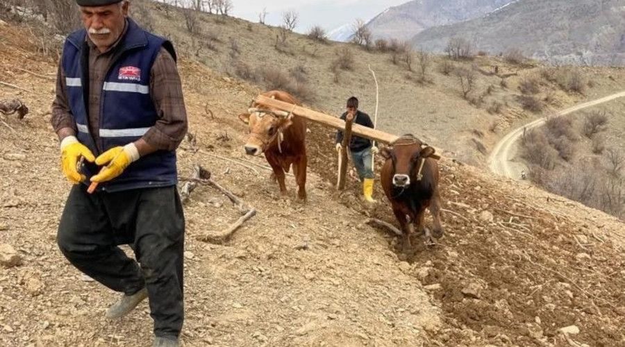 Bu k�yde hala "kara saban" kullan�l�yor