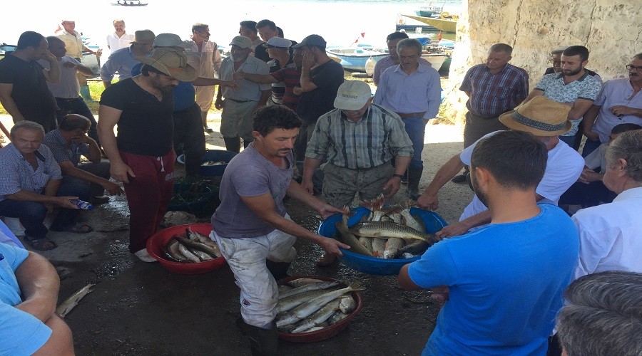 Burada en ok paray veren en taze bal alyor  