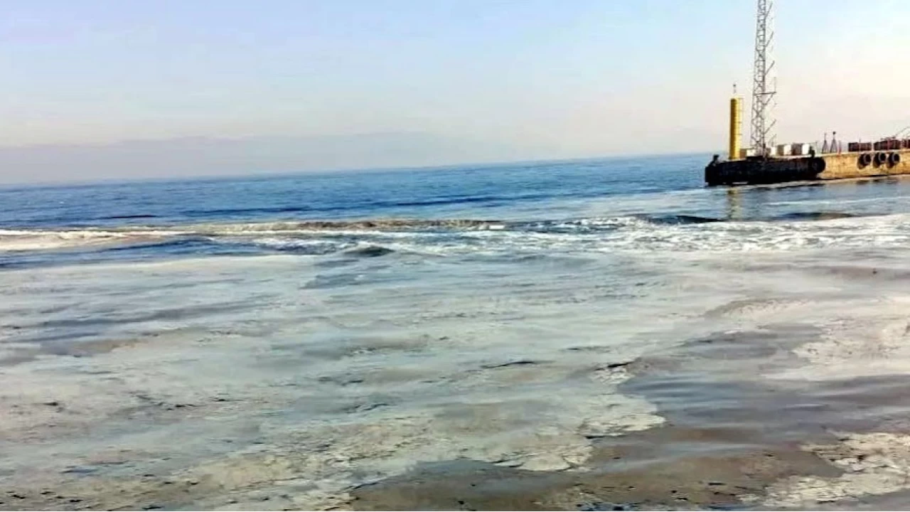 Bursa'da a�lara bal�k yerine m�silaj tak�ld�