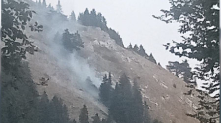 Bursa'da korkutan orman yangını